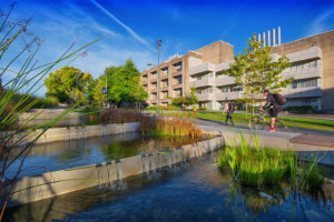 UBC tops global university impact rankings: Times Higher Education