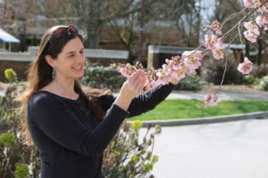 Citizen scientists predict cherry blossom peak