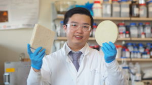 UBC and Wet’suwet’en First Nation collaborate to create new packaging foam from wood waste