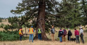Stswecem’c Xget’tem First Nation and UBC Forestry students collaborate to shape the future of fire stewardship 